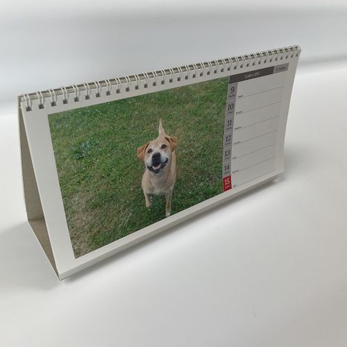 Stolní kalendář personalizovaný z našeho e-shopu chocholousek.eu